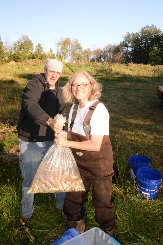 Sean and I are bagging up some koi for John Clark to winter over in his ponds and grow on for sale. Most will go owners of mud ponds in this area.
